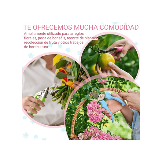 Tijera De Poda De Plantas Jardinería Acero Inoxidable X2 Und 31