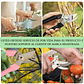 Tijera De Poda De Plantas Jardinería Acero Inoxidable X2 Und - Miniatura 30