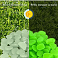 Piedras Luminosas Jardín - Peceras X300pzs Brillan Oscuridad - Miniatura 24