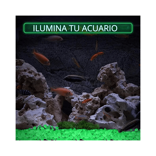 Piedras Luminosas Decoración Jardín x100 Piezas Brillan Oscuridad 11