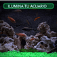 Piedras Luminosas Decoración Jardín x100 Piezas Brillan Oscuridad - Miniatura 11