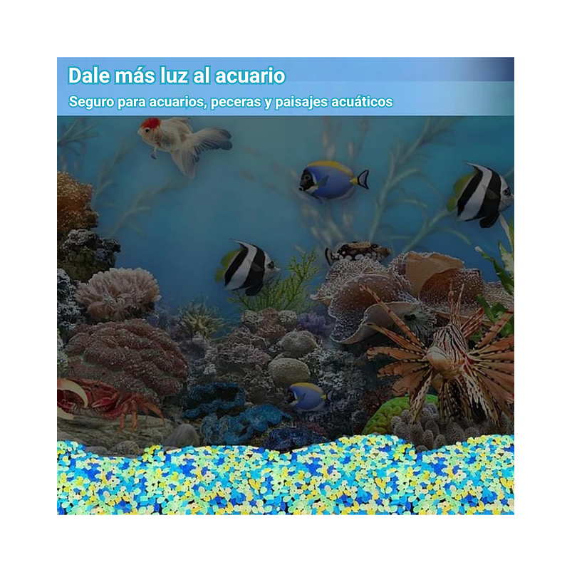 Piedras Brillantes Luminiscentes Para Jardin Pescera  x1000 Unidades 5