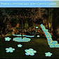 Piedras Brillantes Luminiscentes Para Jardin Pescera  x1000 Unidades - Miniatura 4