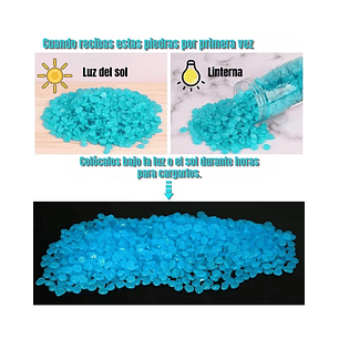 Piedras Luminosas Decorativas Para Jardin de Hadas Pesceras/Acuario X1000pz