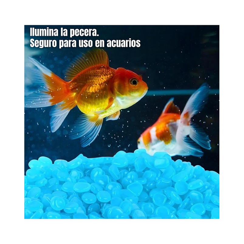 Piedras Luminosas Decorativas Para Jardin de Hadas Pesceras/Acuario X1000pz 5