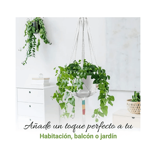 Juego Macetas Plástica x3 Unidades más 3 Macramé Colgar 91cm Largo 5