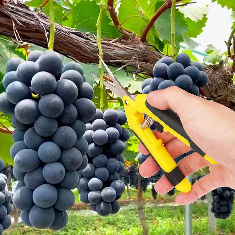 Tijera De Poda De Plantas Acero Inoxidable Punta Recta 16