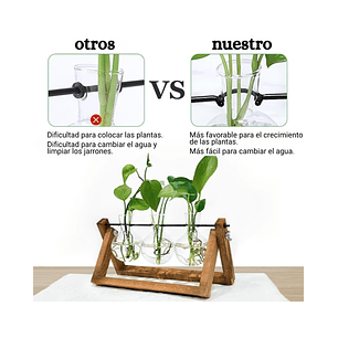 Maceta Plantas Diseño Vintage Bombillas Cristal x3 Unidades