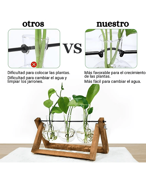 Maceta Plantas Diseño Vintage Bombillas Cristal x3 Unidades