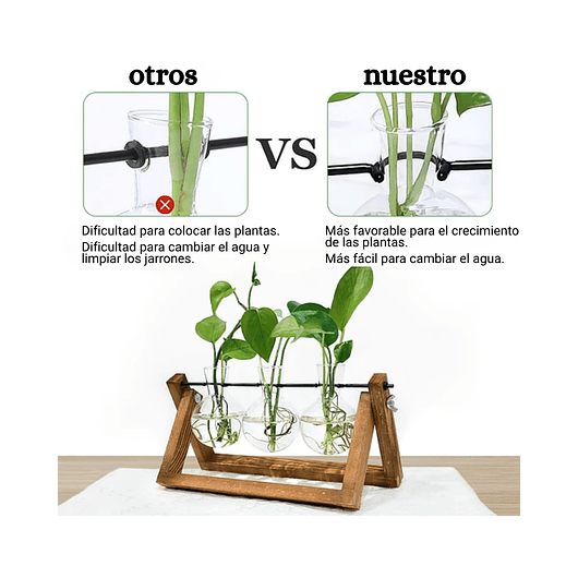 Maceta Plantas Diseño Vintage Bombillas Cristal x3 Unidades 2