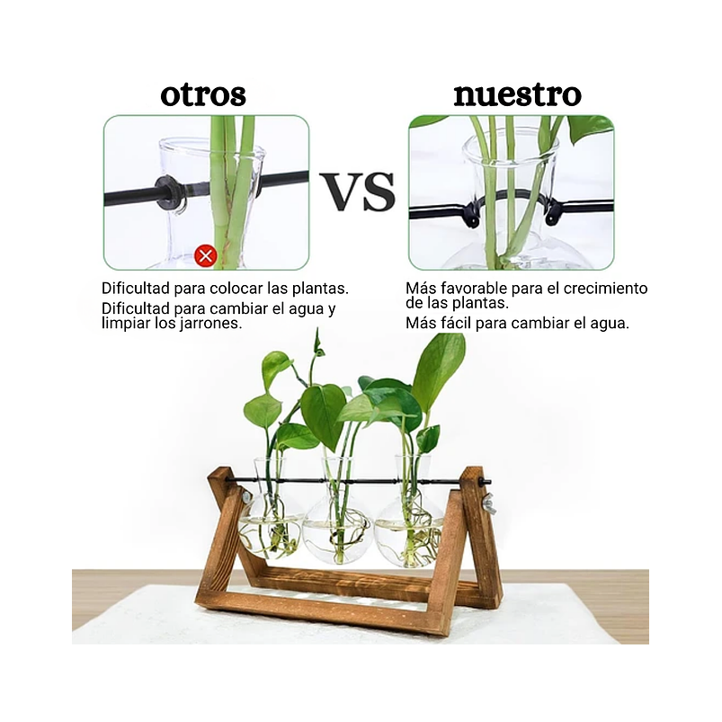 Maceta Plantas Diseño Vintage Bombillas Cristal x3 Unidades 2