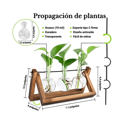 Maceta Plantas Diseño Vintage Bombillas Cristal x3 Unidades 3