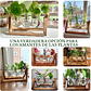 Maceta Plantas Diseño Vintage Bombillas Cristal x3 Unidades - Miniatura 4
