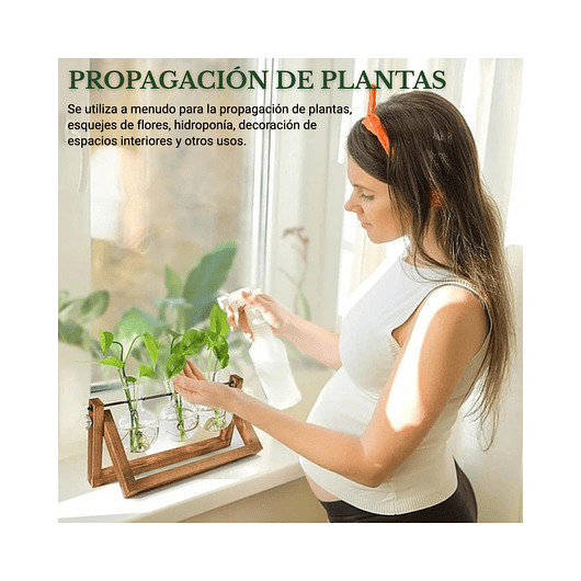 Maceta Plantas Diseño Vintage Bombillas Cristal x3 Unidades 6