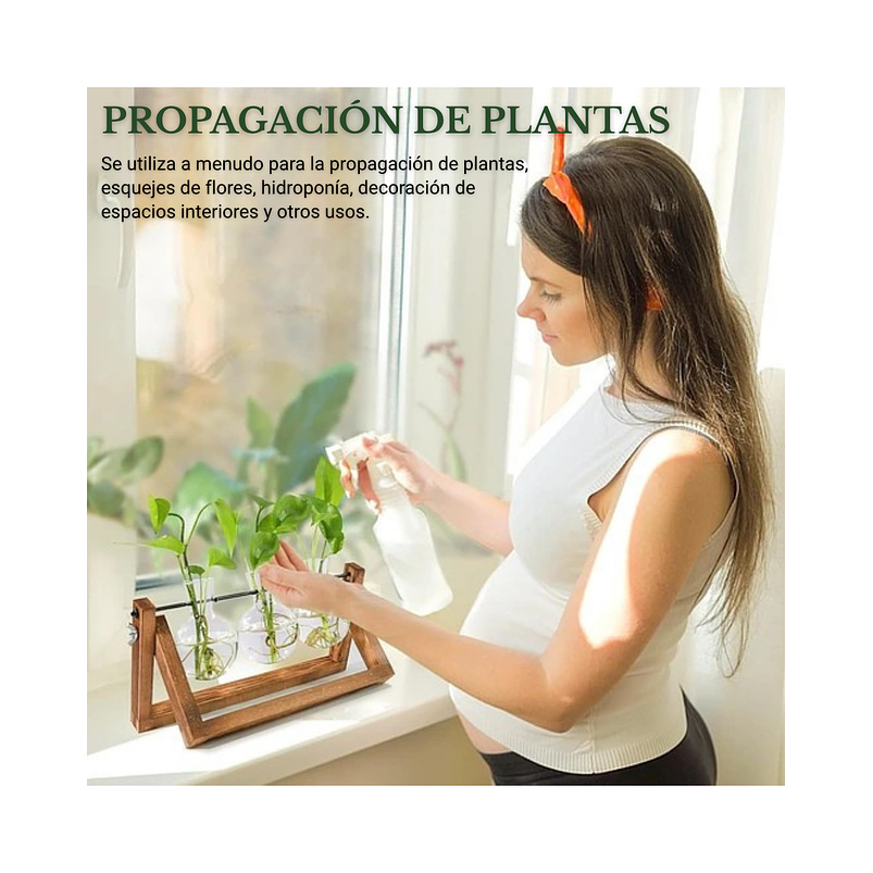 Maceta Plantas Diseño Vintage Bombillas Cristal x3 Unidades 6