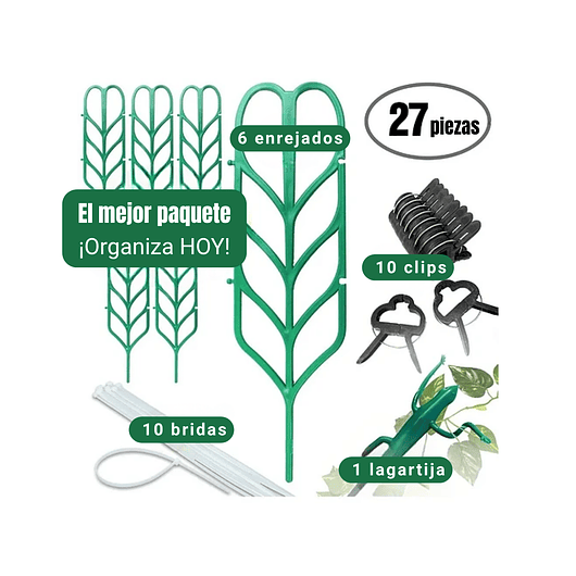 Kit De Soporte De Macetas Plástico De Plantas Trepadoras 2