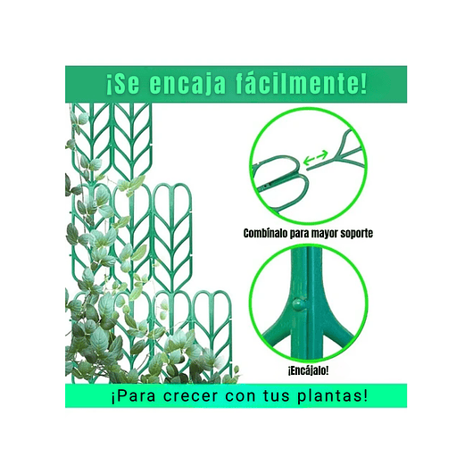 Kit De Soporte De Macetas Plástico De Plantas Trepadoras 3