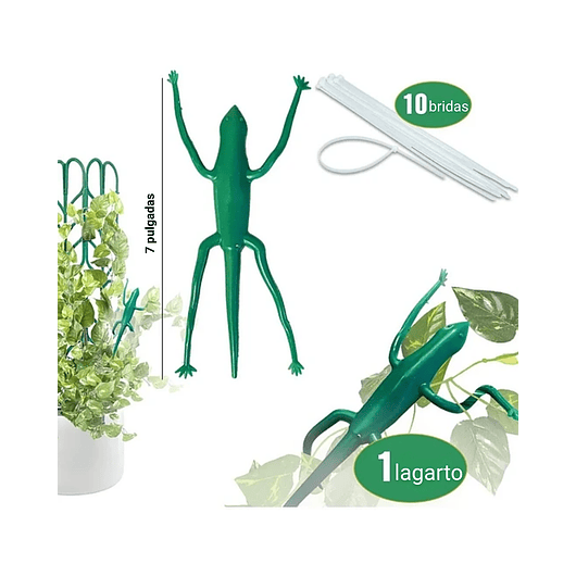 Kit De Soporte De Macetas Plástico De Plantas Trepadoras 6