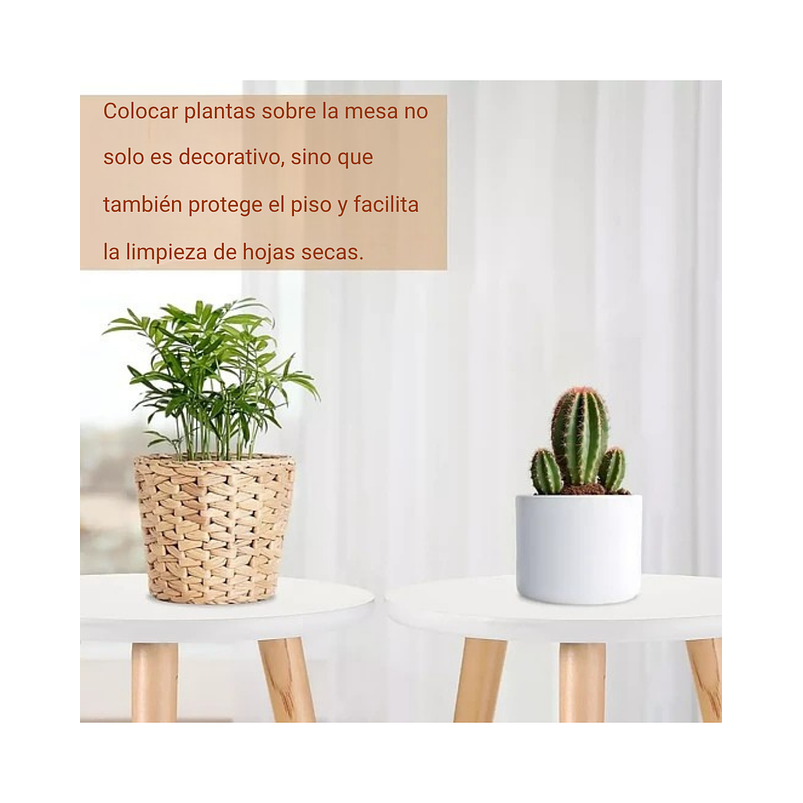 Soporte Maceta Plantas x1 Unidad Tipo Mesa En Madera 4