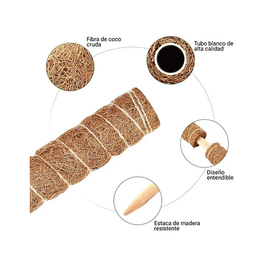 Soporte en Musgo de Coco para Plantas Trepadoras x4 Unidades 2