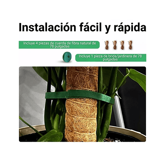 Soporte en Musgo de Coco para Plantas Trepadoras x4 Unidades 4