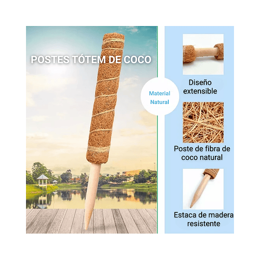 Soporte en Musgo de Coco para Plantas Trepadoras x4 Unidades 5