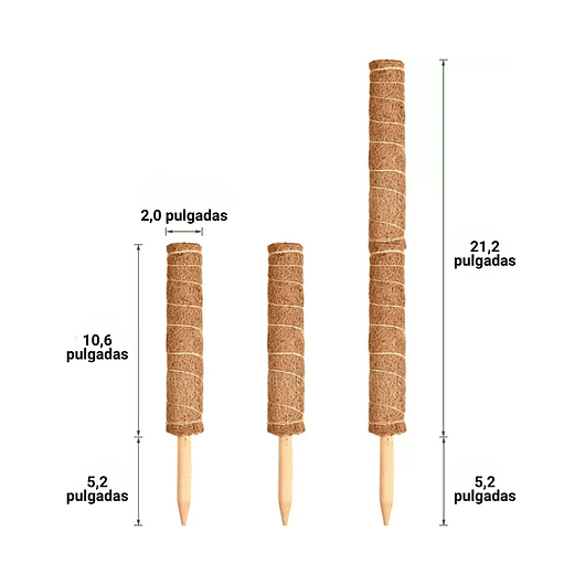 Soporte en Musgo de Coco para Plantas Trepadoras x4 Unidades 6