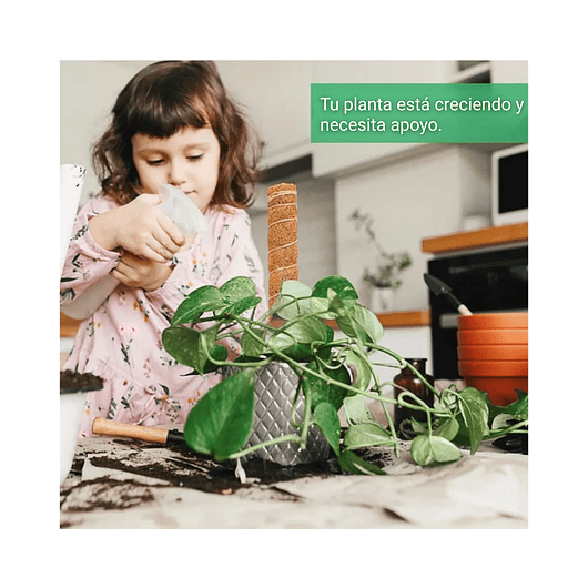 Soporte en Musgo de Coco para Plantas Trepadoras x4 Unidades 8