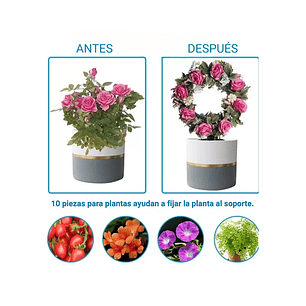 Enrejado de Metal Guía Negro Para Plantas Trepadora Circular