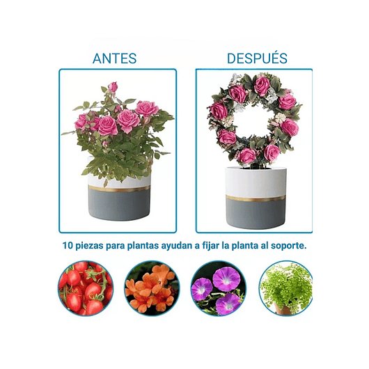 Enrejado de Metal Guía Negro Para Plantas Trepadora Circular 2