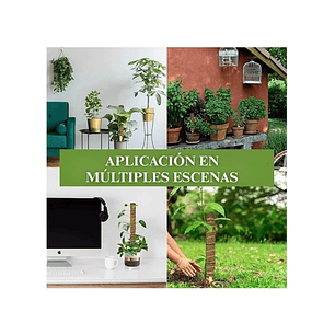 Soporte en Musgo De Coco Para Plantas Trepadoras x4unidades