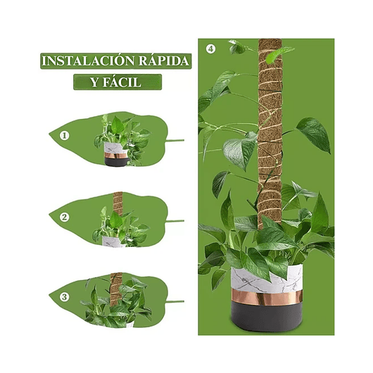 Soporte en Musgo De Coco Para Plantas Trepadoras x4unidades 4