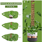 Soporte en Musgo De Coco Para Plantas Trepadoras x4unidades - Miniatura 4