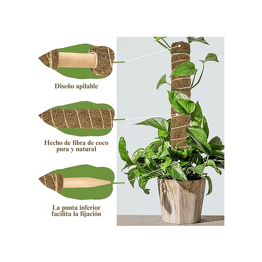 Soporte en Musgo De Coco Para Plantas Trepadoras x4unidades 6