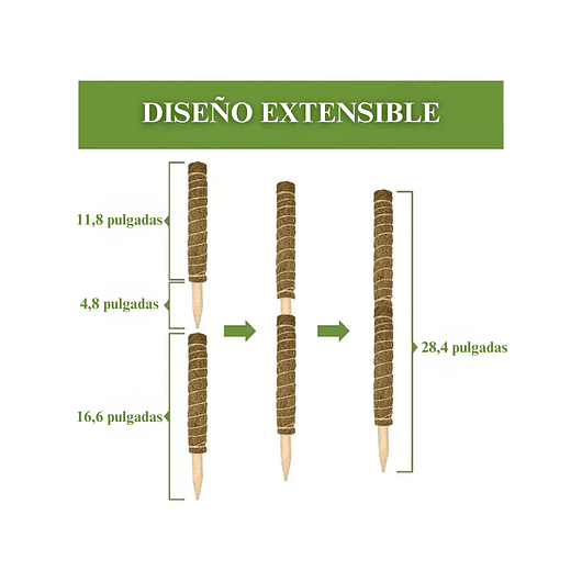 Soporte en Musgo De Coco Para Plantas Trepadoras x4unidades 7