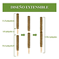Soporte en Musgo De Coco Para Plantas Trepadoras x4unidades - Miniatura 7
