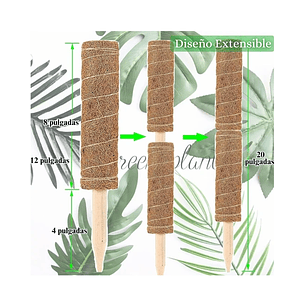 Kit Siembra Soporte Coco x2 Unidades Plantas Trepadoras 30cm