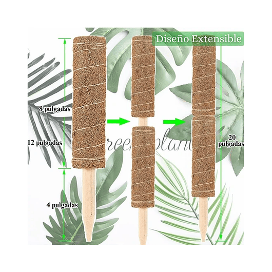 Kit Siembra Soporte Coco x2 Unidades Plantas Trepadoras 30cm 2
