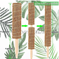 Kit Siembra Soporte Coco x2 Unidades Plantas Trepadoras 30cm - Miniatura 2