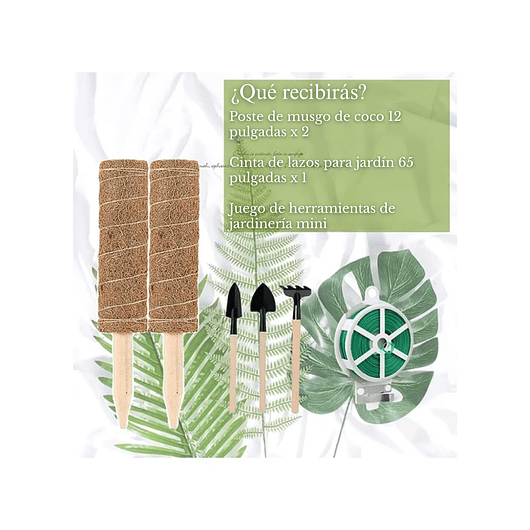 Kit Siembra Soporte Coco x2 Unidades Plantas Trepadoras 30cm 3