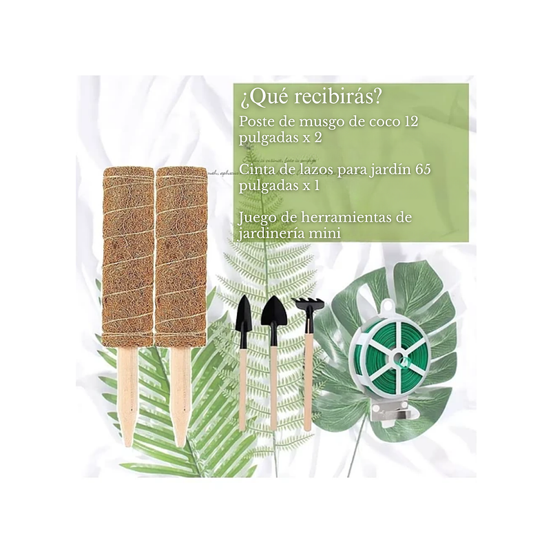 Kit Siembra Soporte Coco x2 Unidades Plantas Trepadoras 30cm 3