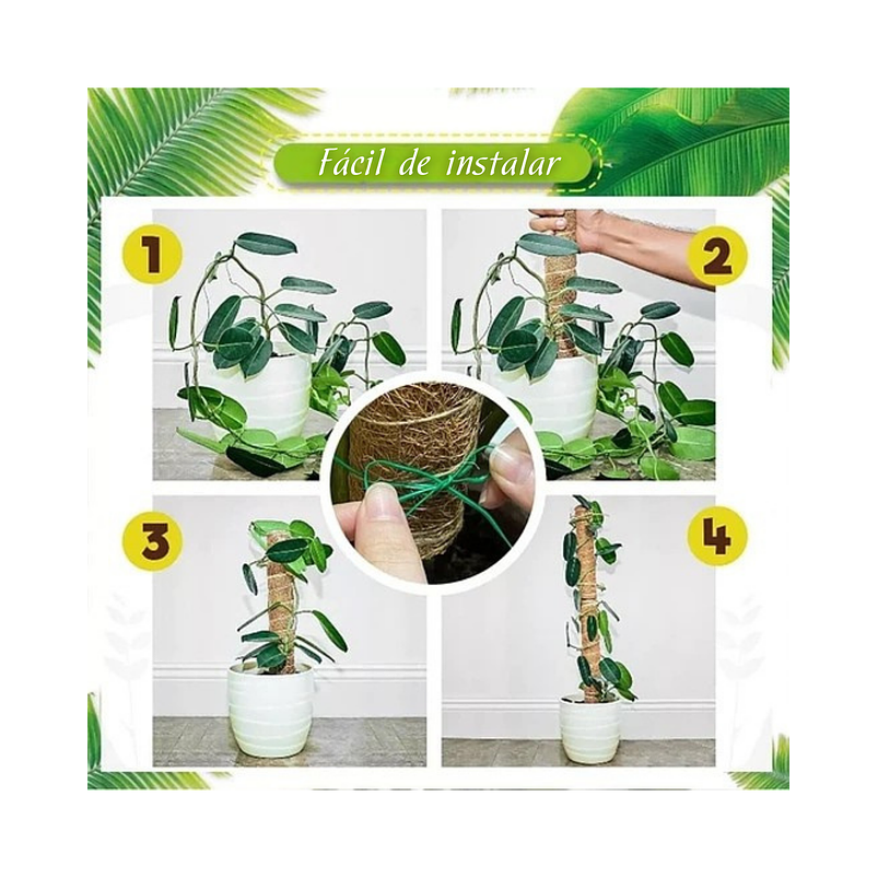 Kit Siembra Soporte Coco x2 Unidades Plantas Trepadoras 30cm 4