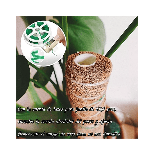Kit Siembra Soporte Coco x2 Unidades Plantas Trepadoras 30cm 5
