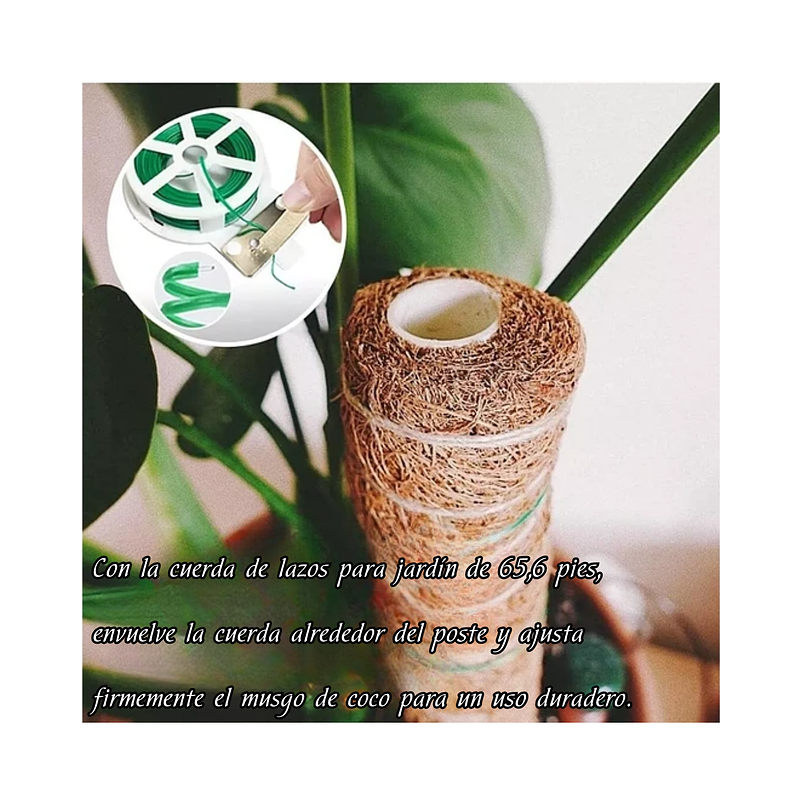 Kit Siembra Soporte Coco x2 Unidades Plantas Trepadoras 30cm 5