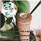 Kit Siembra Soporte Coco x2 Unidades Plantas Trepadoras 30cm - Miniatura 5