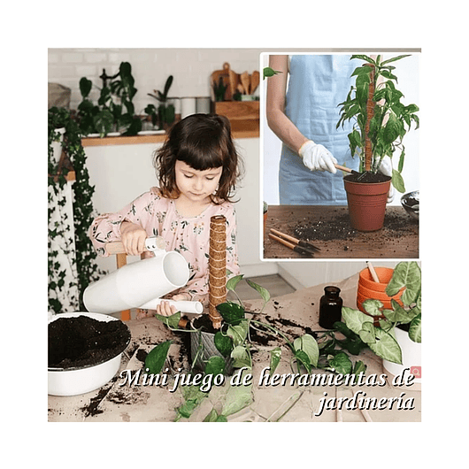 Kit Siembra Soporte Coco x2 Unidades Plantas Trepadoras 30cm 7