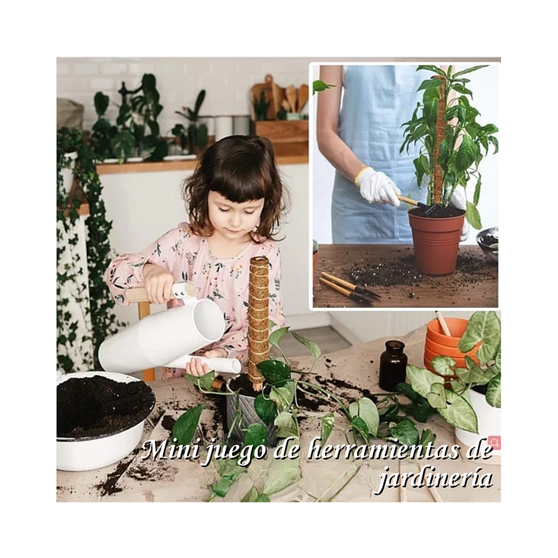 Kit Siembra Soporte Coco x2 Unidades Plantas Trepadoras 30cm 7