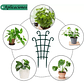 Soporte - Enrejado -Tutor Plástico Para Plantas Trepadoras x2 Unidades - Miniatura 2