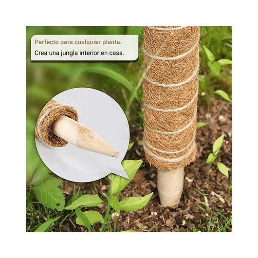 Kit Soporte En Fibra De Coco Plantas Trepadoras x4 Unidades 3