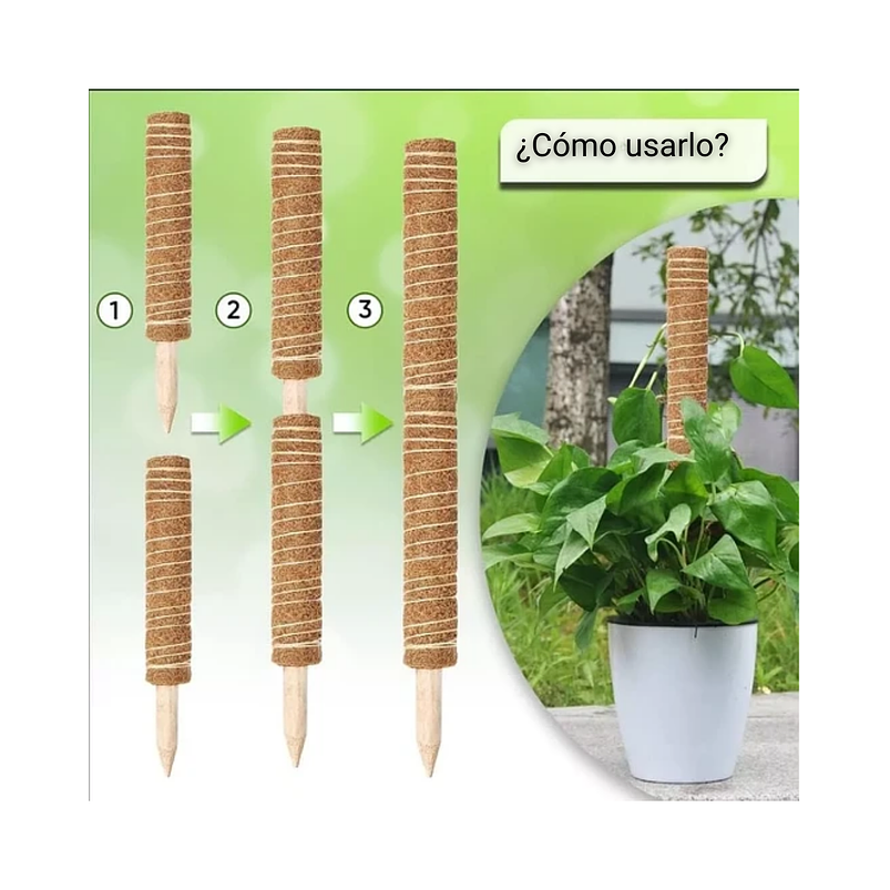 Kit Soporte En Fibra De Coco Plantas Trepadoras x4 Unidades 4